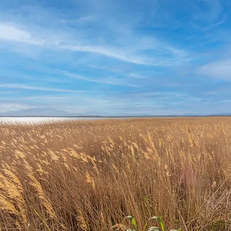 Front * Canet-en-Roussillon
